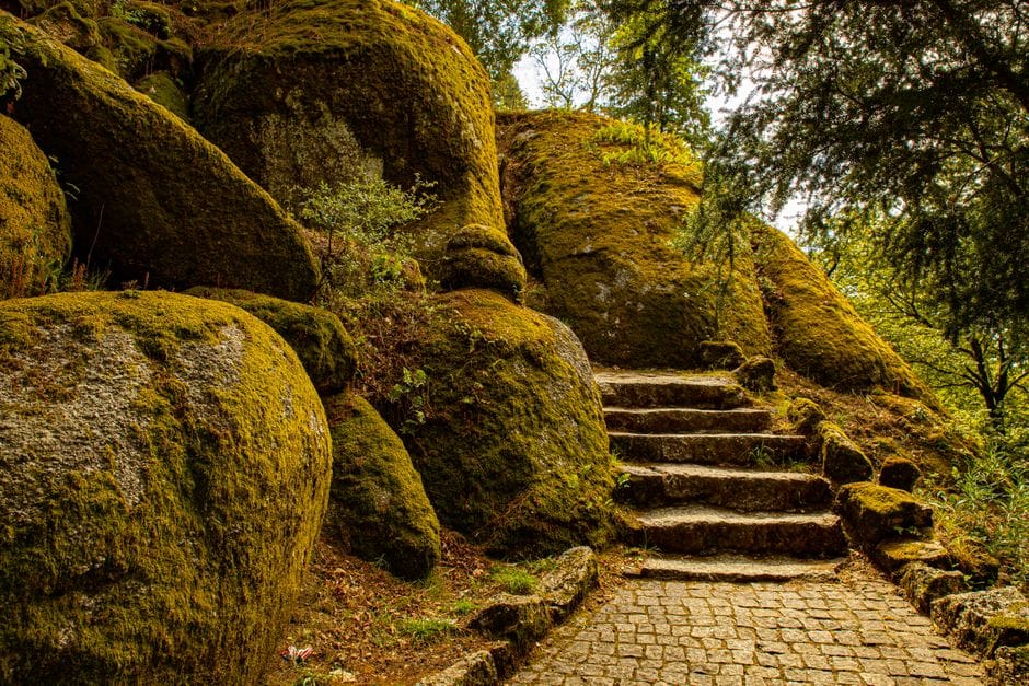 Guimarães no inverno, para além do centro histórico: a Penha e Briteiros