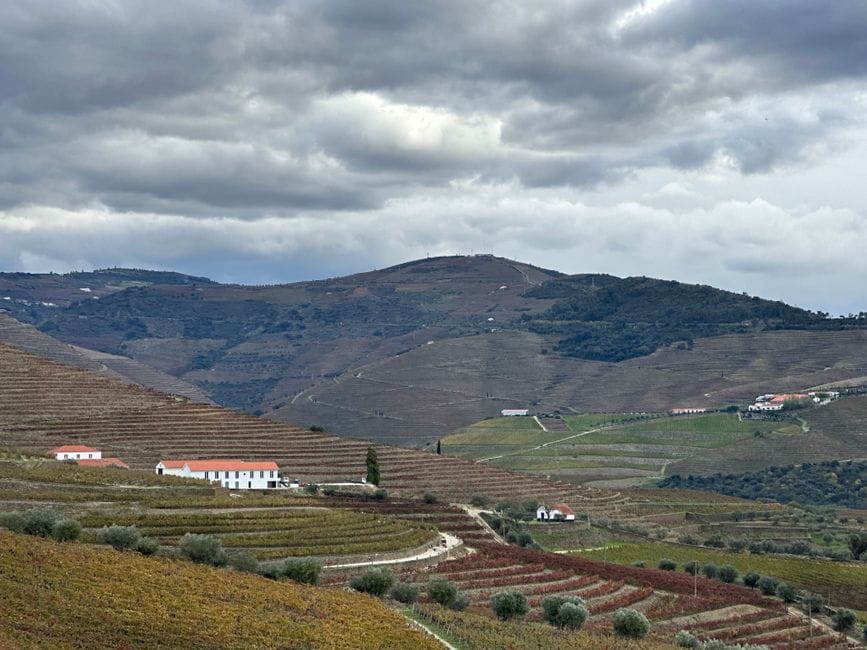 A Rota dos Vinhos do Dão, alternativa ao Douro