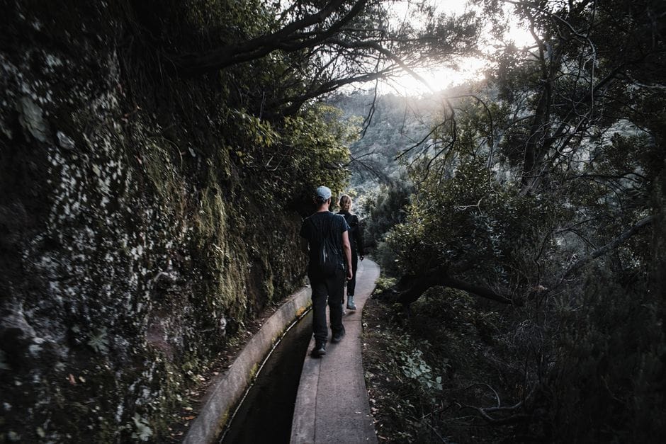 Madeira no inverno: as levadas que não são a 25 Fontes