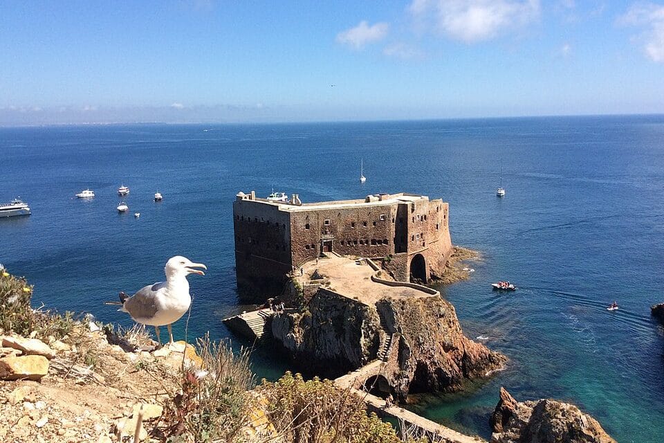 Berlengas: a ilha portuguesa que só deixa entrar 350 pessoas por dia