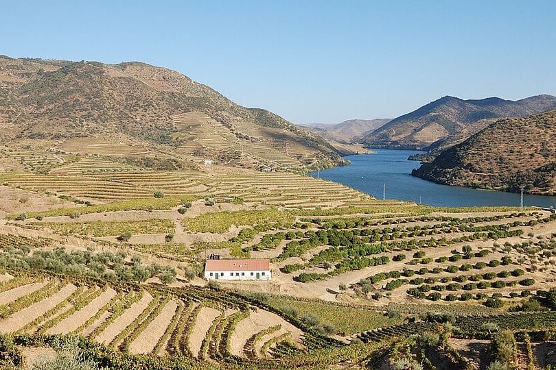 Vale do Douro: o Comboio, os Socalcos e os Miradouros que Valem a Viagem