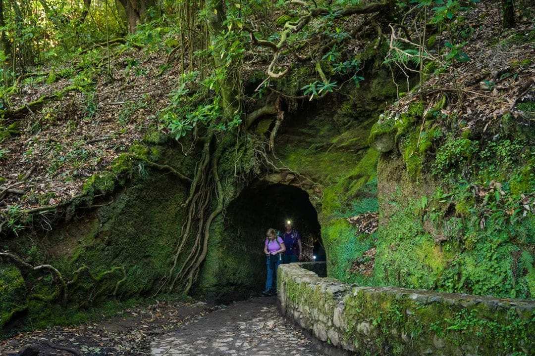 Levadas da Madeira: os trilhos de água que atravessam a ilha