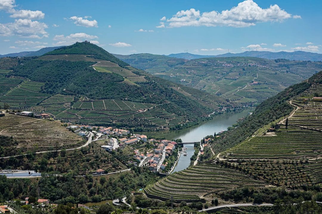 Vindima no Douro em agosto: como ver as vinhas antes das colheitas sem enfrentar as multidões de setembro