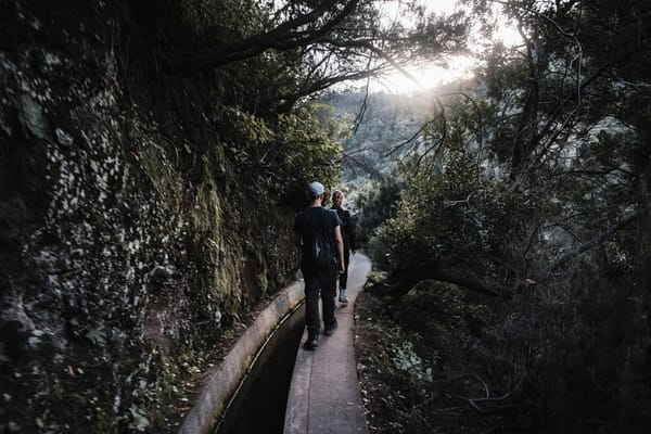 Levadas da Madeira no verão: as caminhadas certas quando o calor aperta