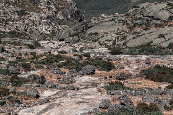 Vale do Côa: caminhar entre gravuras com 25 mil anos