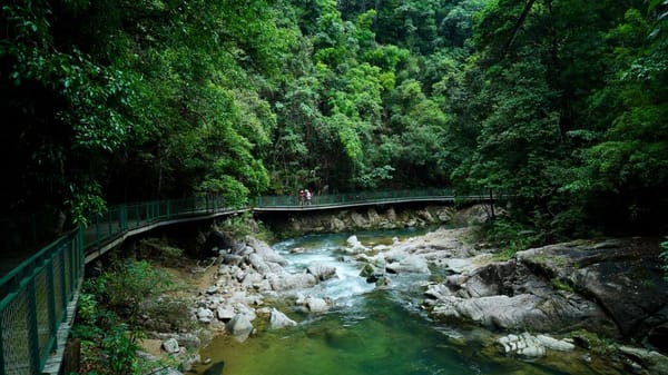 Passadiços do Paiva e a Ponte 516 de Arouca