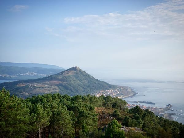 Queijos com viagem: da Serra da Estrela a Azeitão e Nisa