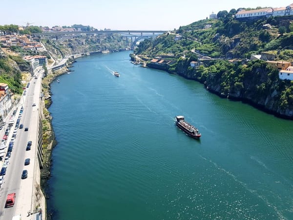 Douro Internacional: arribas, grifos e o planalto mirandês