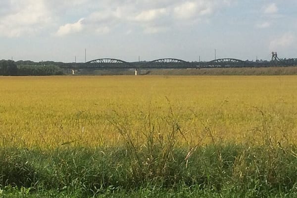 Comporta e Melides: a costa alentejana que ainda não virou Algarve