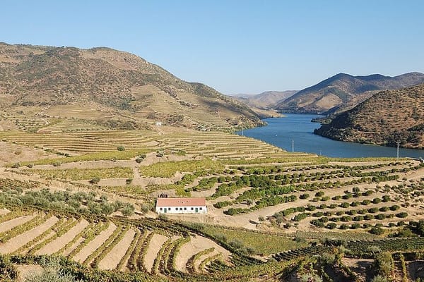 Vale do Douro: o Comboio, os Socalcos e os Miradouros que Valem a Viagem