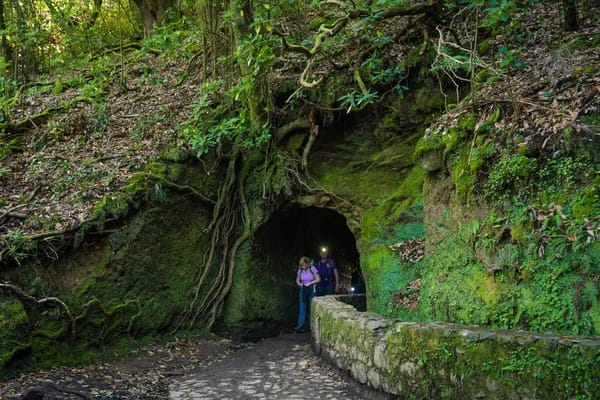 Levadas da Madeira: os trilhos de água que atravessam a ilha