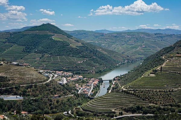 Vindima no Douro em agosto: como ver as vinhas antes das colheitas sem enfrentar as multidões de setembro